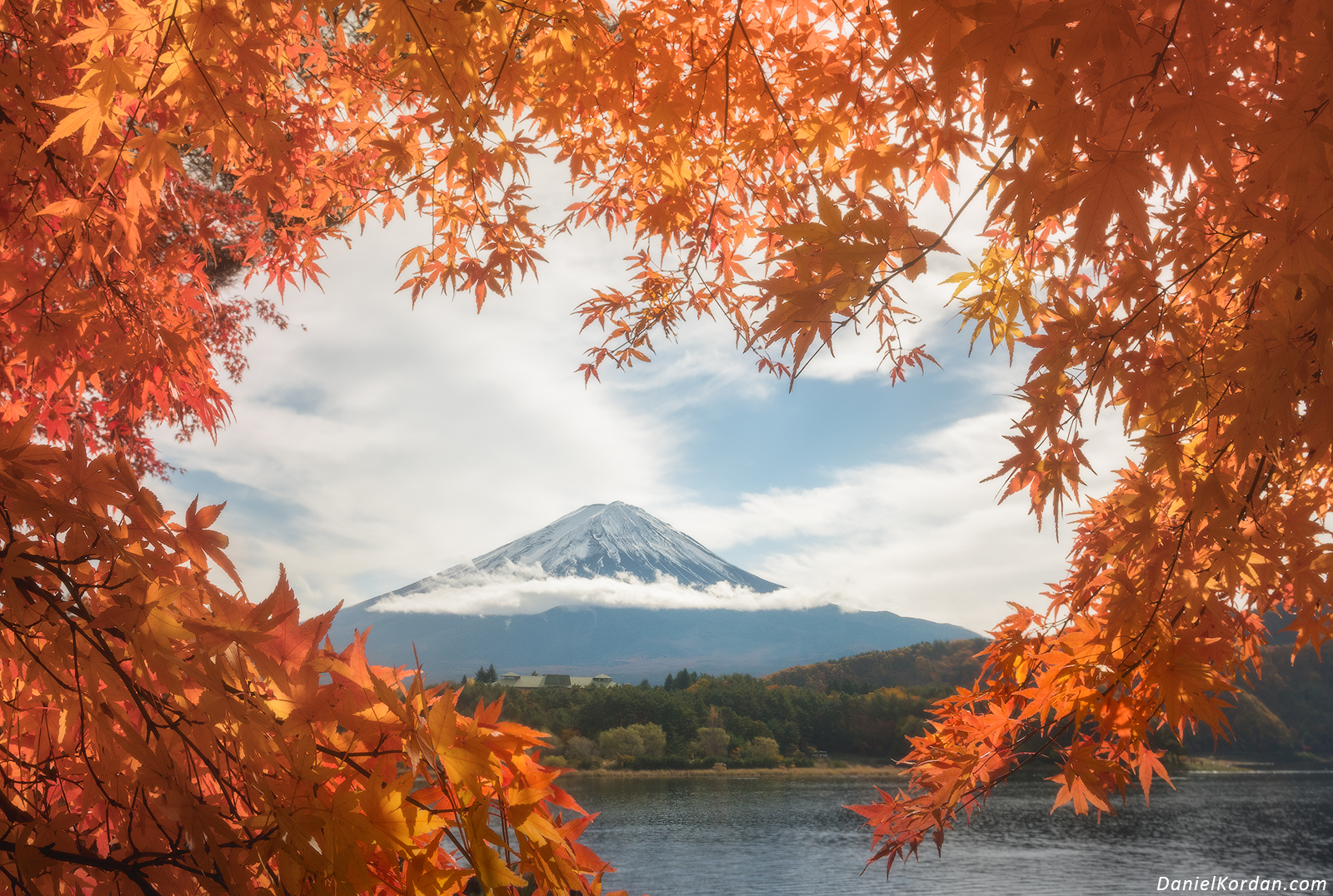 Japan in red: autumn leaves photo tour, 10 – 18 November, 19 – 27