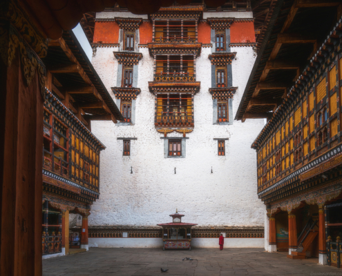 DSC_7713-Enhanced-NR-copy