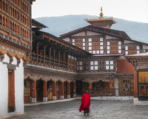 DSC_7734-Enhanced-NR