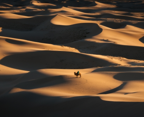 The Silk Road. Mongolia epic photo adventure: Eagle Hunters and Gobi ...