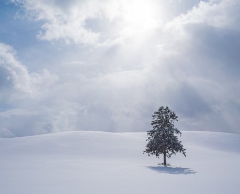 Hokkaido photography tour