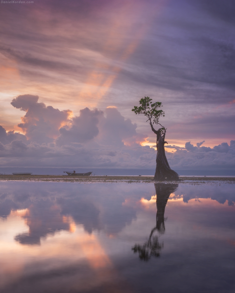 Dancing trees