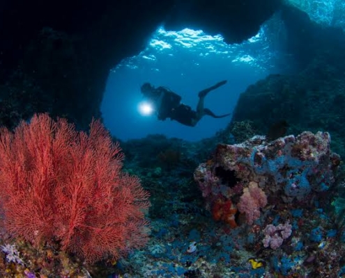 Raja Ampat diving Misool